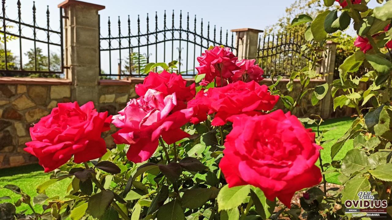 Arode Villa Ovidius Baltsjik Buitenkant foto